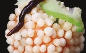 Makimono ouriço (5 peças)