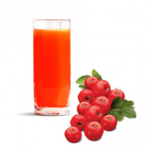 Suco de Acerola 400ml